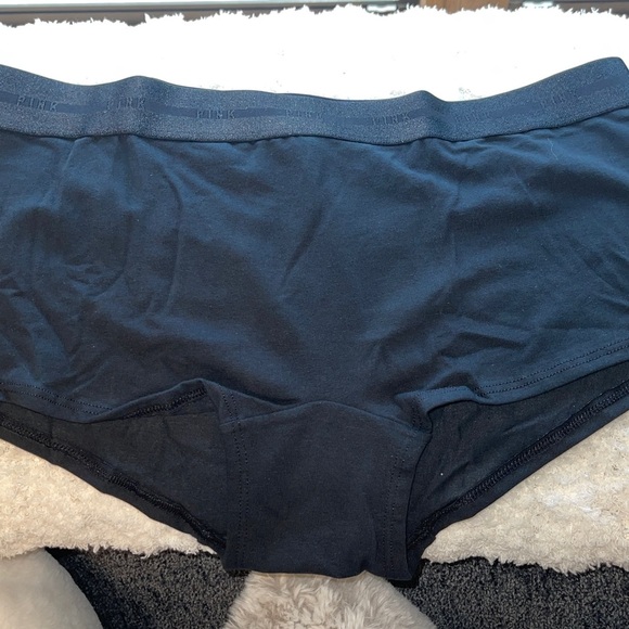 VICTORIA SECRET PINK 2 Panties Size L - Picture 5 of 10